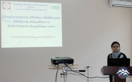 Molekulyar Biologiya və Biotexnologiyalar İnstitutunda elmi seminar keçirilib